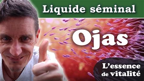 Liquide séminal : cest quoi